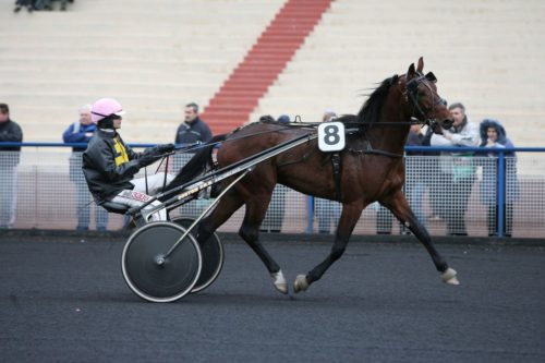 QUEL AMOUR DUDEL (2004)