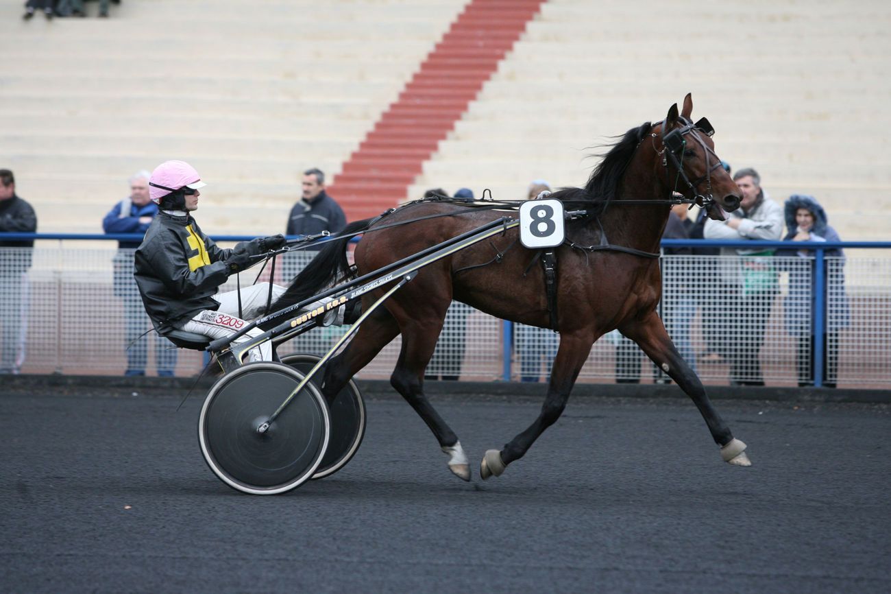 You are currently viewing QUEL AMOUR DUDEL (2004)