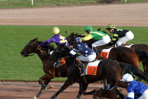 Douche Catz soigne ses stats