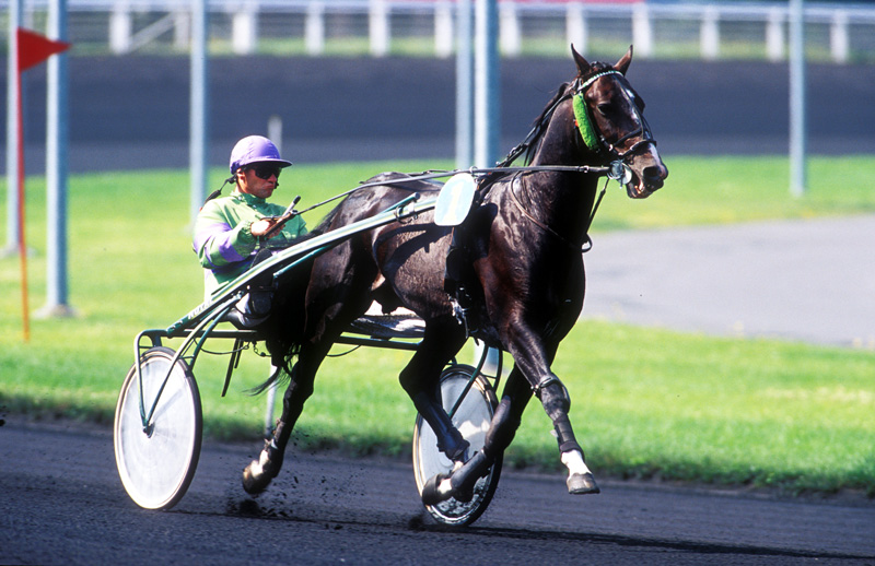 You are currently viewing GOOD MORNING PARIS (1994)