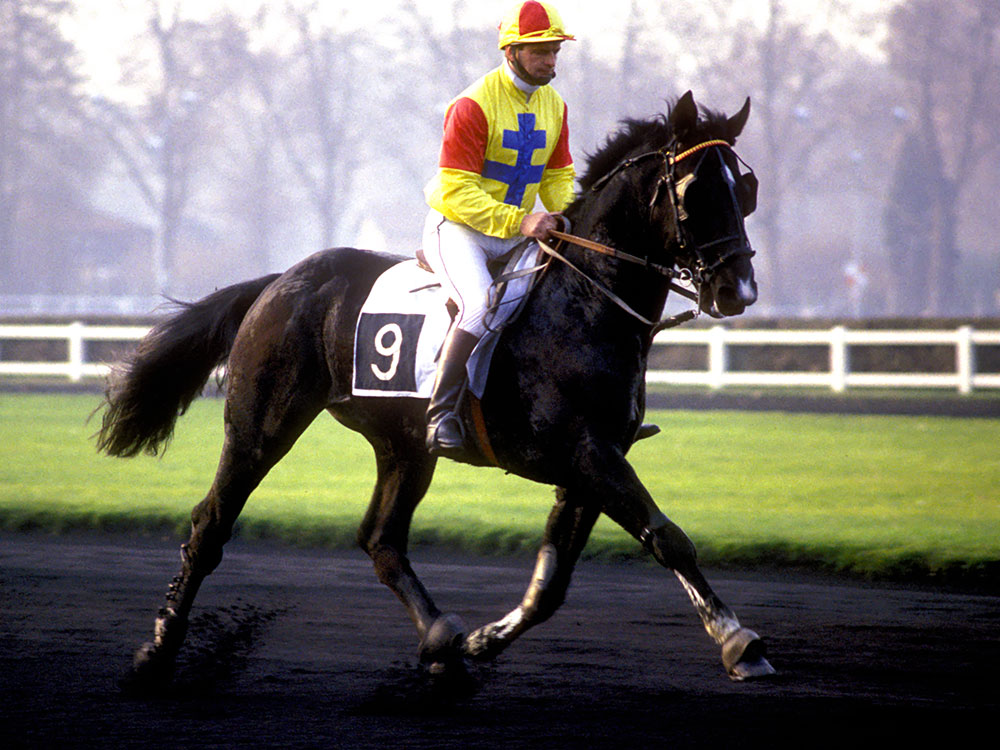 You are currently viewing UN BEAU BRUN (1986)