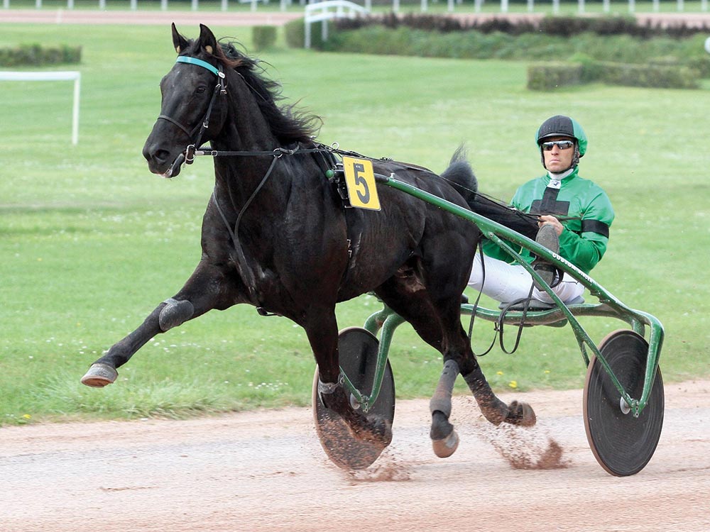 You are currently viewing UNIVERS DE PAN (2008)