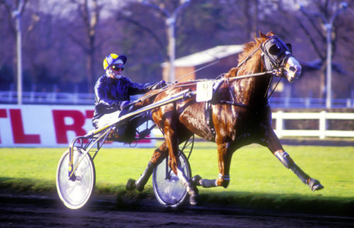 Michel Casrouge, l&rsquo;éleveur d&rsquo;Ursulo de Crouay, nous a quittés