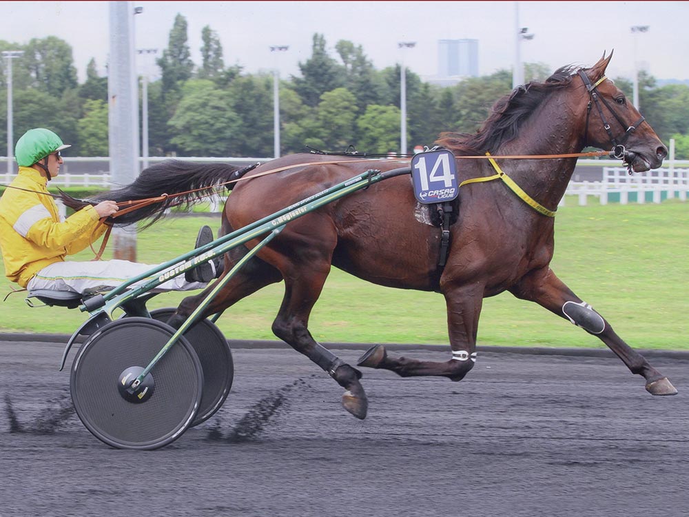 You are currently viewing UHLAN DU VAL (2008)