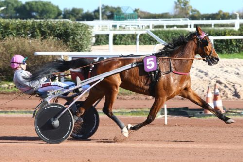 UNE FILLE D’AMOUR (2008)