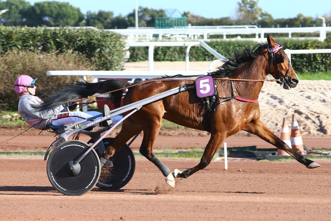 You are currently viewing UNE FILLE D’AMOUR (2008)