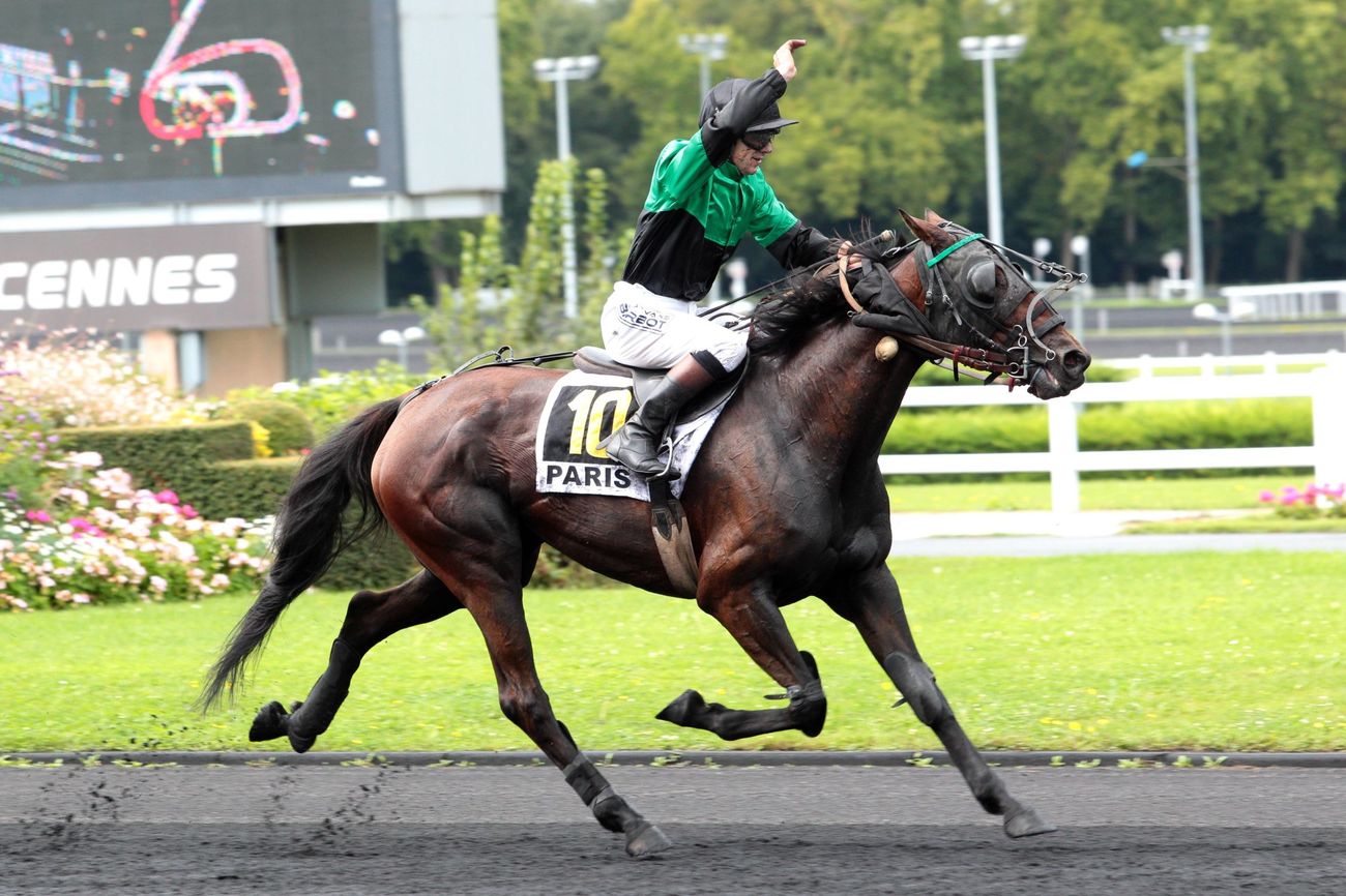 You are currently viewing VALDICE DE MARS (2009)