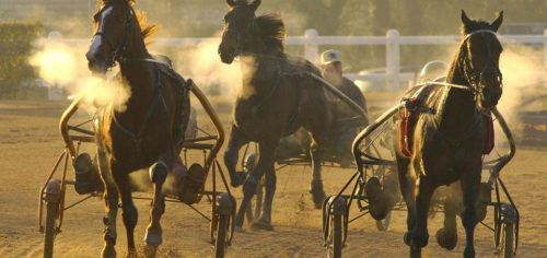 Des « H » prometteurs